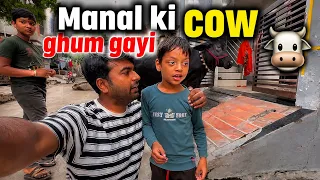 Manal ki cow ghum gayi 🤣😝 #vlog #cow 