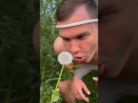 SURVIVAL (adventure in the forest) 🌳 #survival #woodvik #cooking
