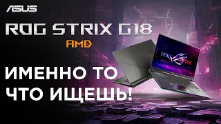 ASUS ROG Strix G18 Ryzen 9 8940HX / RTX 5060 / 240Hz — стоит ли покупать?