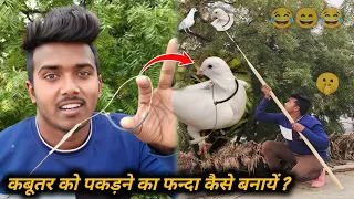 🤔🕊️कबूतर को पकड़ने का फन्दा कैसे बनायें ?😂✌️😂