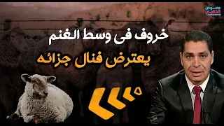 مذيع مسيحي يطعن في الرسول ﷺ فردت في صدره فقتلته!!