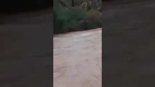 امطار الرحمة اليوم  الحمد لله له الشكروالحمد من أمتضي جماعة افران الاطلس الصغير اقليم كلميم