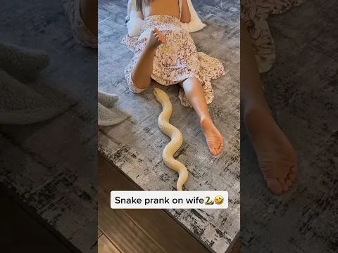 Snake Prank PARTY 4 🐍😂 #snakeprank #snake #fakesnake