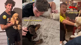 10 Minutes of F1 Drivers With Their Pets ( BEST/FUNNIEST MOMENTS )