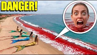 😱 Если вы увидите этот ОСТРОВ РУСАЛОК… ДЕРЖИТЕСЬ ПОДАЛЬШЕ! НЕ ЗАХОДИТЕ В ВОДУ!