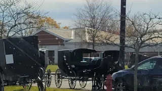 The story of an Amish man that hated me with a passion, and then later calls me to escape the cult ￼
