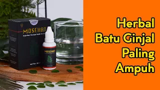 Obat Batu Ginjal Paling Ampuh - Mosehat Herbal