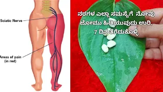 ನರಗಳಲ್ಲಿ ಬಲಹೀನತೆ ಸೆಳೆತ ನೋವು ವೀಕ್ ನೆಸ್ ಕೈಕಾಲು ಜೋಮು ಹಿಡಿಯುವುದು ಪಾದದ ಉರಿ ಸಂಪೂರ್ಣ ಮಾಯಆಗತ್ತೆ Nerves pain