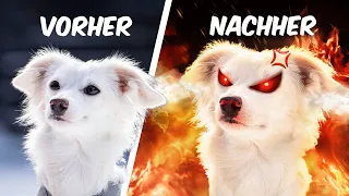 1 TAG im LEBEN EINER WUFFZESSIN