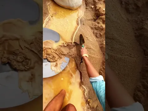 🤯 Ohh My God ♦ கடைசி வரை பாருங்கள் 👍|| #shortsfeed #shorts