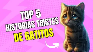 Top 5 Historias MAS tristes😭 de Gatos -del MUNDO- 😥 #cat #resumen