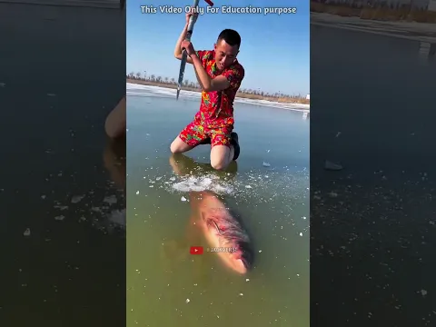 Hero Dad Saves the Frozen Fish 🐟❄️ #SuperDad #CuteMoment #Chinki