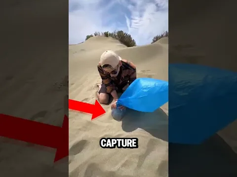 THIS SAND WAS BREATHING ...THEN HE CAUGHT THIS 😳