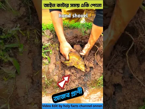 দুই হাতে একি আজব প্রাণী ধরলো🥱😱tortoise tools item & tortoise catching idea #shorts