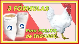 POLLOS de ENGORDE 3 FÓRMULAS GRATIS INICIO CRECIMIENTO y FINAL ǀ Ing. Jannin Hernández Blandón