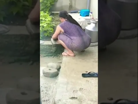 الطبخ والبيت مع سوس