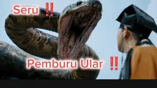 Akibat Merusak Rumah Ular & Memburunya