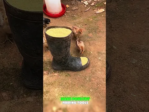 Make poultry feeding tools from used rain boots