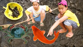 Lộc TiVi Dọn bể Tìm thấy nhiều Cá, Cua, Ốc | Found Crab, Fish, Snail
