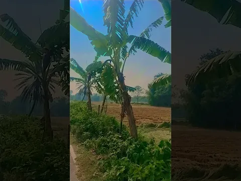 #dontletthisflop