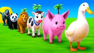 Long Slide Game With Elephant Gorilla Buffalo Hippopotamus Tiger - 3d Animal Game - Funny 3d Animals