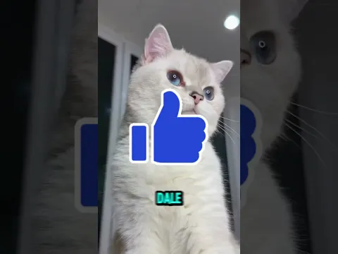 Miren, esta chica arruina a propósito el pastel de su gato con la mano
