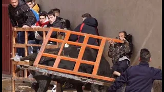 TORO ROMPE TALANQUERA y deja dos heridos en encierro Toro del Voto | Villoria (Salamanca)| 23/4/2022
