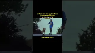 A smart dog who drives a car|ajmal television|tamil movie explanation