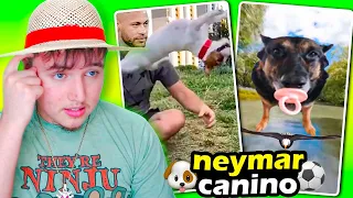 MI PERRITO ES NEYMAR CANINO 🐶⚽