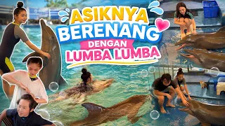 CHRYSTAL, KEITH, DAN KOKO BERENANG DENGAN LUMBA LUMBA 
