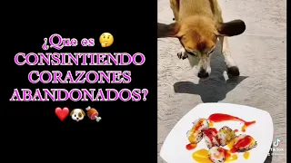 ¿Que es Consintiendo Corazones Abandonados? 🤔🤔🤔