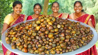 SNAIL FRY RECIPE 🐌|  Healthy Snail Fry Recipe Traditional Cooking in Village Style and Eating | VB