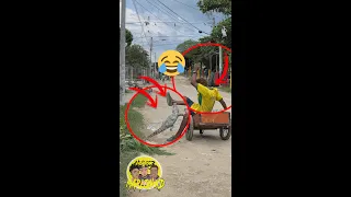 el cocodivertido  💸🐊 😂