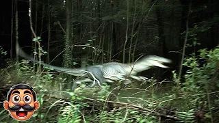 10 Penampakan dinosaurus paling NYATA‼️