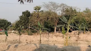 Amazing fishing time