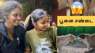 பூனை சண்டை Comedy 😃😱 Chennai street Cats 🐈 viral video 😄 2025