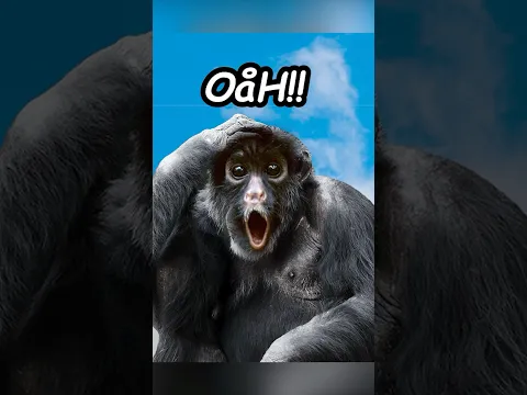 Monkey Drinks Potion Then Gets Reincarnated! #funny #memes