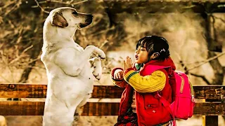 इस कुत्ते की वफादारी देखकर आँखों में आंसू आ जाएंगे 😱 | #movie #emotional #dog