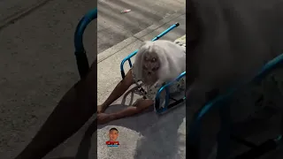 La abuela #viral #tendencia 😱😱😱