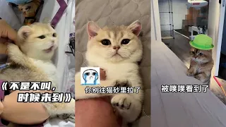 【PuPu噗噗】知道真相的我眼泪掉下来