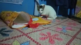 বাবুর রাগ কমানোর জন্য এই ব্যাগটা যথেষ্ট