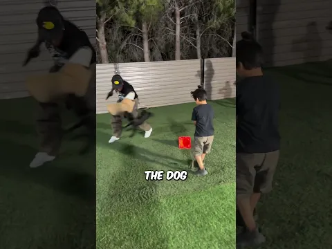 When Training Goes Too Far (@dr_moejuice_thedecoy - on IG) #shorts