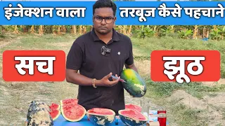 तरबूज में इंजेक्शन सच या झूठ // कैसे पता करें असली और इंजेक्शन वाला तरबूज // Injection in Watermelon