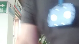 importancia de la esterilización en peluditos domésticos