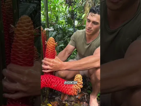 Lempuyang