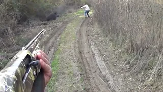 Gjuetia në Kosovë - Hunting in Kosovo