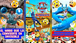 EL CANGREJO MAS GRANDE DEL MUNDO