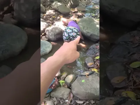 Mira su reacción 🤣 #shorts