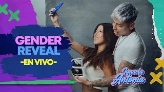- LIVE- ¿Niño o Niña? GENDER REVEAL