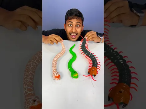 Remote Control Kankhajura and RC Snake #rcsnake
